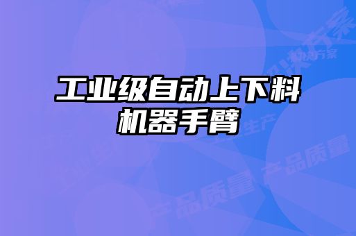 工業(yè)級(jí)自動(dòng)上下料機(jī)器手臂