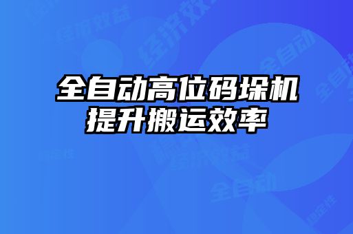 全自動高位碼垛機提升搬運效率