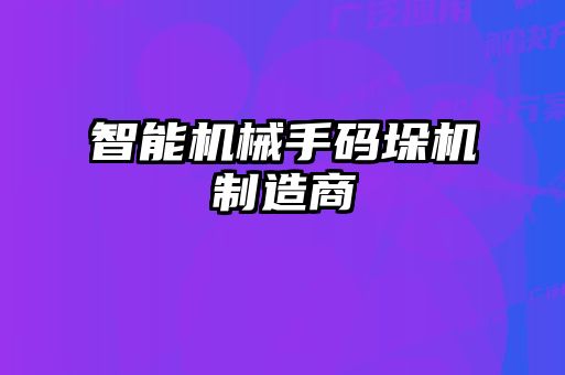 智能機械手碼垛機制造商