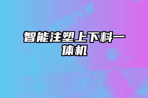 智能注塑上下料一體機(jī)