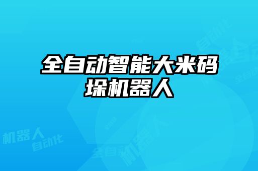 全自動智能大米碼垛機器人