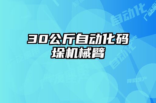 30公斤自動化碼垛機械臂