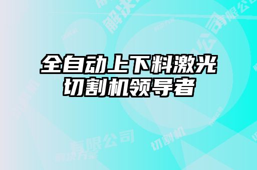 全自動上下料激光切割機(jī)領(lǐng)導(dǎo)者