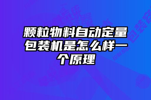 顆粒物料自動(dòng)定量包裝機(jī)是怎么樣一個(gè)原理