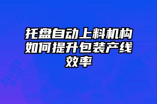 托盤自動上料機構(gòu)如何提升包裝產(chǎn)線效率