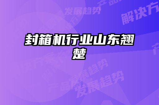 封箱機(jī)行業(yè)山東翹楚