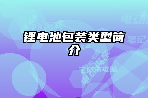 鋰電池包裝類型簡介