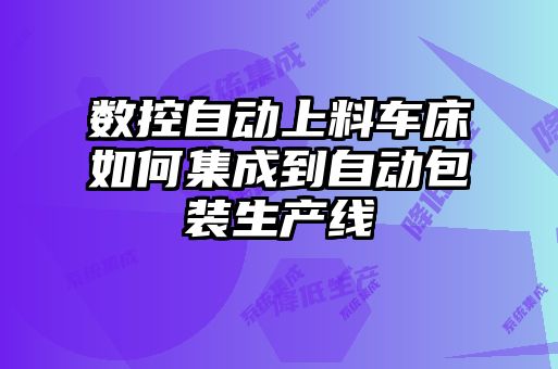 數(shù)控自動上料車床如何集成到自動包裝生產(chǎn)線