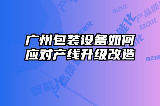 廣州包裝設備如何應對產線升級改造