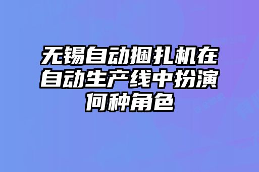 無錫自動捆扎機在自動生產線中扮演何種角色