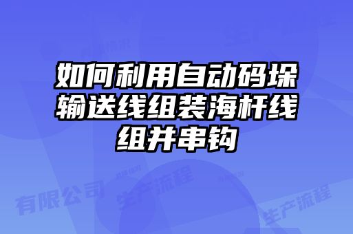 如何利用自動(dòng)碼垛輸送線組裝海桿線組并串鉤