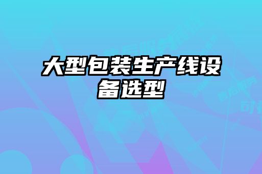 大型包裝生產(chǎn)線設(shè)備選型