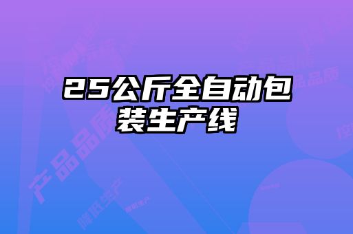 25公斤全自動包裝生產(chǎn)線