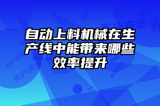 自動(dòng)上料機(jī)械在生產(chǎn)線中能帶來哪些效率提升