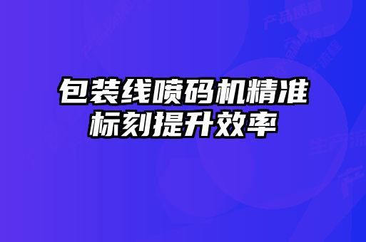 包裝線噴碼機精準標刻提升效率