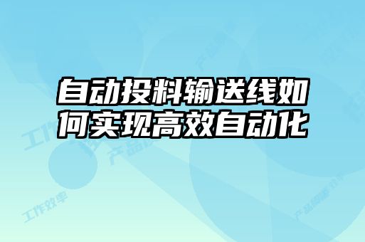 自動投料輸送線如何實現(xiàn)高效自動化