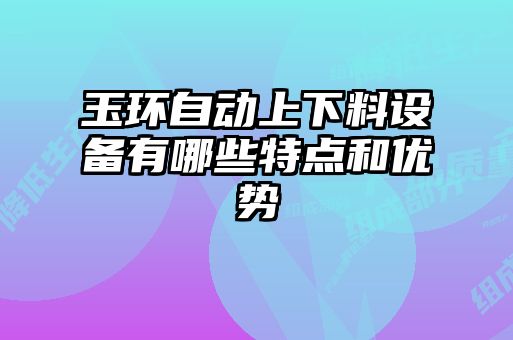 玉環(huán)自動(dòng)上下料設(shè)備有哪些特點(diǎn)和優(yōu)勢(shì)