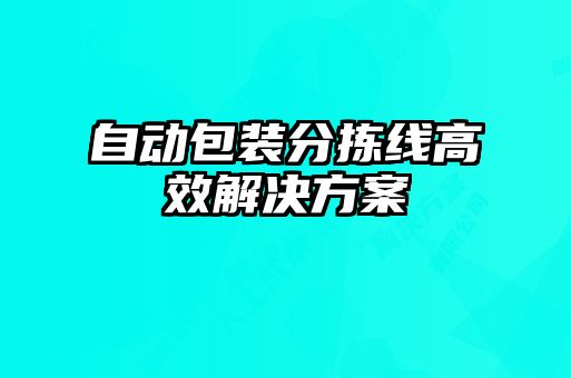 自動(dòng)包裝分揀線(xiàn)高效解決方案