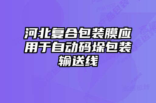 河北復(fù)合包裝膜應(yīng)用于自動(dòng)碼垛包裝輸送線