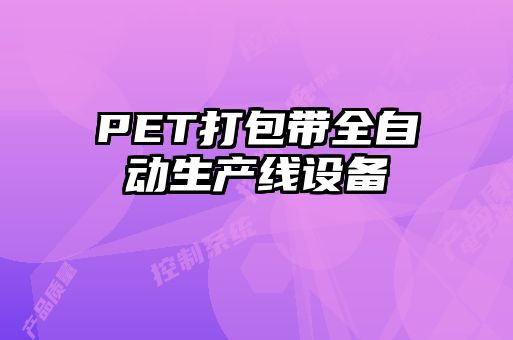 PET打包帶全自動生產線設備