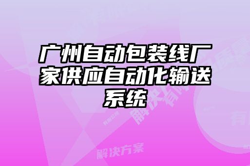 廣州自動包裝線廠家供應自動化輸送系統(tǒng)