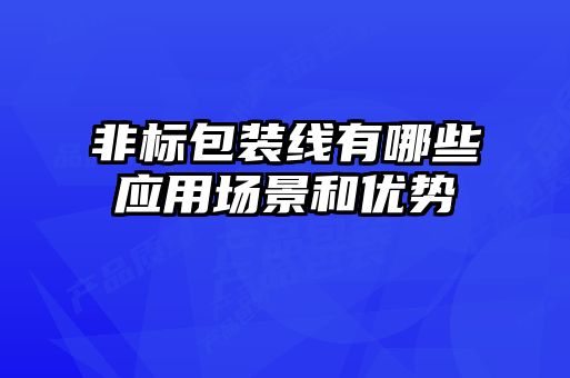 非標包裝線有哪些應用場景和優(yōu)勢