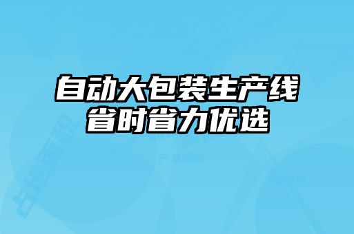 自動(dòng)大包裝生產(chǎn)線省時(shí)省力優(yōu)選