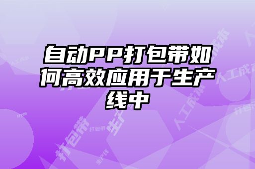 自動PP打包帶如何高效應用于生產(chǎn)線中