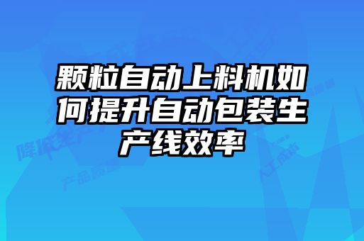 顆粒自動上料機(jī)如何提升自動包裝生產(chǎn)線效率