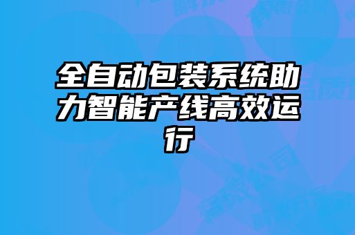 全自動包裝系統(tǒng)助力智能產(chǎn)線高效運(yùn)行